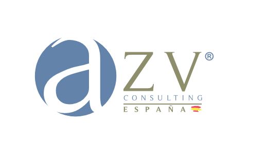 AZV CONSULTING